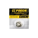 CSE010006508 Pignone 13 Denti Mod 1 CC Pinion, 13T